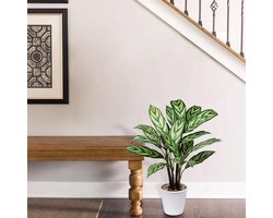 Kunstplant Calathea Majestica Exotica 63 cm kunstplant groot in pot decoratie voor binnen en buiten moderne decoratie badkamer woonkamer slaapkamer balkon