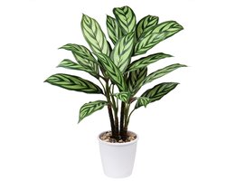 Kunstplant Calathea Majestica Exotica 63CM Kunstplant Groot in pot decoratie voor binnen en buiten, moderne decoratie, decoratie badkamer woonkamer slaapkamer balkon