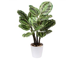 Kunstplant Calathea Medallion 63CM Kunstplant Groot in pot decoratie voor binnen en buiten, moderne decoratie, decoratie badkamer woonkamer slaapkamer balkon