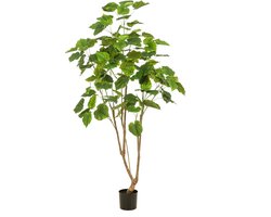 Kunstplant Ficus Umbellata - Textiel / Metaal - Groen - 85x180x85 cm (BxHxD)