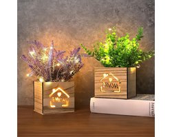 Kunstplant met ledlampjes in houten kist - 2 stuks - 11 x 9 x 26 cm - Thuis/kantoor/bureau/keukendecoratie - Valentijnsdag/Moederdag