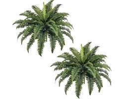 Kunstplant varen - Bostonvarens - nepplanten - Nep planten voor Binnen en Buiten - Kamer Decoratie - Nepplanten Kunst plant - Kunstbloemen - voor woonkamers, hangende decoraties, tuinen, veranda's, vensterbanken en meer - 35 inch - 2 Stuks
