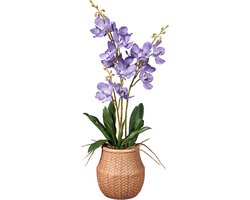 Kunstplant wilde Orchidee 3-tak lila H58cm - HTT Decorations kunstplanten