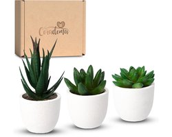 Kunstplanten set van 3 in pot wit - levensechte vetplanten decoratie voor bureau vensterbank kantoor woonkamer keuken