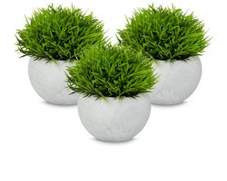 kunstplanten - set van 3 - voor binnen - in pot