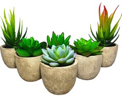 Kunstplanten - Vetplanten in Pot 6 stuks - Cadeautip