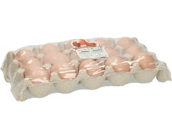 Kunststof Eieren - 15st.