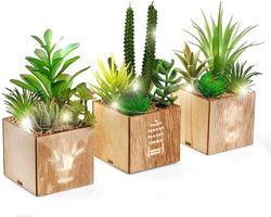 Kunstvetplanten met ledlampen in houten kist - Set van 3 - Kunstplanten - Plastic topiary - Woondecoratie - Kantoordecoratie - Tafeldecoratie - Valentijnsdag