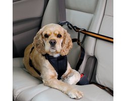 Kurgo - Auto Zip Line For Dogs - Black/Orange