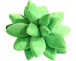 Kussen 3D Pluche Kussen Decoratief Sierkussen Plant Sierkussen voor Thuis Kamerdecoratie