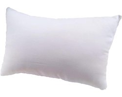 Kussen Binnenkussen - Kussen Vulling - Decoratie Bank - Anti-allergie Materiaal - 30x50 cm - Wit