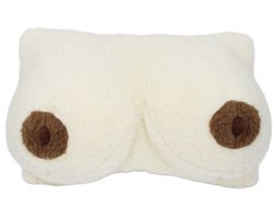 Kussen Borsten Cadeau Grappig Kussen 100% Merino Wol Fun artikel Vrijgezellenfeest Verjaardag – 42x22cm