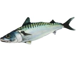 Kussen vis - Makreel - Meerkleurig - Vismodel kussen - Groot formaat - Sierkussen - 60 cm