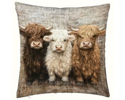 Kussenhoes 1 stuk - 45x45 cm - 3 Hooglander koeien