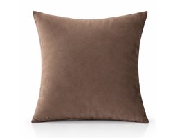 Kussenhoes Velvet Bruin - 45x45 cm - fluweelachtig - met rits - exclusief vulling - licht glanzend