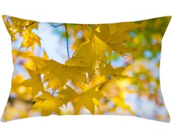 Kussenhoezen Set - Decoratieve Hoezen - Woonkamer Decoratie - Set van 4 stuks - 30x50 cm - Geel Groen