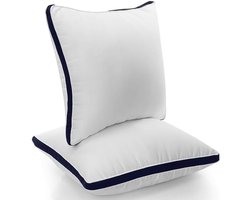 Kussens Set van 2, Hoofdkussens Zacht en Ademend Stof met Holle Vezelvulling (65x65 cm)
