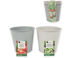 Kweekset Emmer Bio Tomaten en Sla