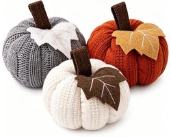 KZQ 3-delige Gebreide Pompoendecoratie – Decoratieve Pompoenen voor Herfst en Halloween – Tafeldecoratie voor Woonkamer, Vensterbank en Plank – Pompoen Ornamenten met Hanglus – Thanksgiving Decoratie