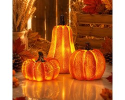KZQ 3-delige LED Pompoendecoratie – Lichtgevende Pompoenlantaarns voor Halloween en Thanksgiving – Decoratieve Pompoenen met LED Verlichting – Herfstdecoratie voor Tafel, Vensterbank, Tuin, Kamer en Feest
