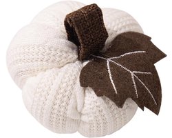 KZQ Gebreide Pompoendecoratie – Decoratieve Pompoen voor Herfst en Halloween – Tafeldecoratie voor Woonkamer, Vensterbank en Plank – Pompoen Ornament met Hanglus – Thanksgiving Decoratie – Wit