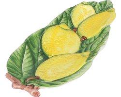 La La Tavola - Citroen schaal 26cm - Schalen