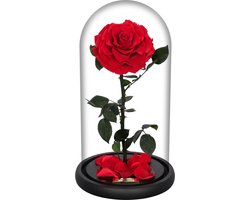 La Rose Single Red | Long Life Roos in glazenstolp | Verjaardag | Cadeau | Liefde | Woonaccessoires & decoratie