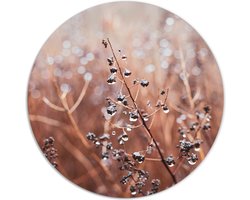 Label2X - Muurcirkel cosy flower winter - Ø 60 cm - Dibond - Multicolor - Wandcirkel - Rond Schilderij - Muurdecoratie Cirkel - Wandecoratie rond - Decoratie voor woonkamer of slaapkamer