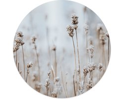 Label2X - Muurcirkel - Flower Peace - Ø 12 cm - Dibond - Multicolor - Wandcirkel - Rond Schilderij - Bloemen en Planten - Muurdecoratie Cirkel - Wandecoratie rond - Decoratie voor woonkamer of slaapkamer