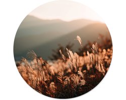 Label2X - Muurcirkel - Golden Grass - Ø 60 cm - Forex - Wandcirkel natuur - Wandcirkel rond - Wanddecoratie woonkamer - Wandcirkel - Muurcirkel binnen - Wandbord rond - Muurcirkel - WallCircle