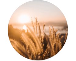Label2X - Muurcirkel - Grain Beach - Ø 20 cm - Dibond - Wandcirkel bloem - Bloemen - Wandcirkel natuur - Wandcirkel rond - Wanddecoratie woonkamer - Wandcirkel - Muurcirkel binnen - Wandbord rond - Muurcirkel - WallCircle