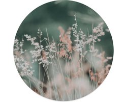 Label2X - Muurcirkel - Lentegras - Ø 140 cm - Dibond - Wandcirkel natuur - Wandcirkel rond - Wanddecoratie woonkamer - Wandcirkel - Muurcirkel binnen - Wandbord rond - Muurcirkel - WallCircle