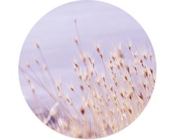 Label2X - Muurcirkel - Lilalicious - Ø 30 cm - Dibond - Wandcirkel bloem - Bloemen - Wandcirkel natuur - Wandcirkel rond - Wanddecoratie woonkamer - Wandcirkel - Muurcirkel binnen - Wandbord rond - Muurcirkel - WallCircle