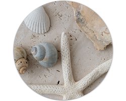 Label2X - Muurcirkel schelpjes - Ø 30 cm - Dibond - Multicolor - Wandcirkel - Rond Schilderij - Muurdecoratie Cirkel - Wandecoratie rond - Decoratie voor woonkamer of slaapkamer