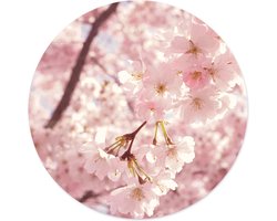 Label2X Muurcirkel Spring - Ø 12 cm - Forex - Wandcirkel bloem - Bloemen - Wandcirkel natuur - Wandcirkel rond - Wanddecoratie woonkamer - Wandcirkel - Muurcirkel binnen - Wandbord rond - Muurcirkel - WallCircle