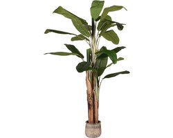 LABEL51 Kunstplant Musa 110x110x180 cm - Groen - Kunststof