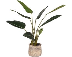 LABEL51 Kunstplant Strelitzia 70x70x100 cm - Groen - Kunststof