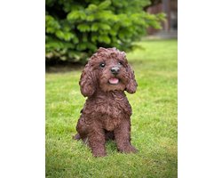 Labradoodle bruin levensecht 31 cm hoog - polyester - polystone - beeld - tuinbeeld - hoogkwalitatieve kunststof - decoratiefiguur - interieur - accessoire - voor binnen - voor buiten - cadeau - geschenk