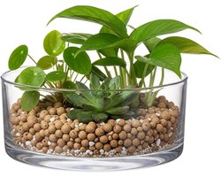 Lage schaal/vaas rond - transparant - glas - 19 x 8 cm - Glazen vazen - woonaccessoires