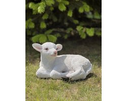 Lam lig wit L 18.5 cm hoog - polyester - polystone - beeld - tuinbeeld - hoogkwalitatieve kunststof - decoratiefiguur - interieur - accessoire - voor binnen - voor buiten - cadeau - geschenk