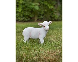 Lam staand M 21,5 cm hoog - polyester - polystone - beeld - tuinbeeld - hoogkwalitatieve kunststof - decoratiefiguur - interieur - accessoire - voor binnen - voor buiten - cadeau - geschenk