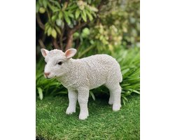 Lam staand S 20 cm hoog - polyester - polystone - zomercollectie - herfstcollectie - beeld - tuinbeeld - hoogkwalitatieve kunststof - decoratiefiguur - interieur - accessoire - voor binnen - voor buiten - cadeau - geschenk - kerst - nieuwjaar