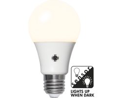 Lamp met schemersensor - 11W