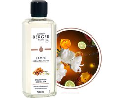 Lampe Berger Navulling - Etoile d'orient - Oriental Star 500ml