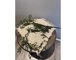 Landelijke Mos tak- decoratieve tak- Moederdag- woondecoratie- stoer sober- interieur- Kerst