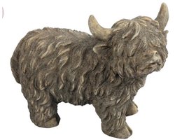 Landelijke Schotse hooglander Yuki M bruin staand- Stoer sober- woondecoratie- sfeervol- Countryfield