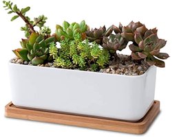 LATRAT Set rechthoekige witte keramische vaas voor vetplanten en cactussen met bamboe onderzetter - decoratieve kleine bloempot