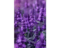 Lavendel posters - Bloemen poster - Tuinposter Bladeren - Schutting decoratie - Tuinaccessoires - Muurdecoratie tuinposter 60x90 cm