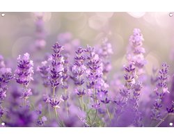 Lavendel tuinposter - Plant tuinposter - Tuinposters Impressionisme - Posters buiten - Tuindoek - Decoratie muur tuinposter 105x70 cm