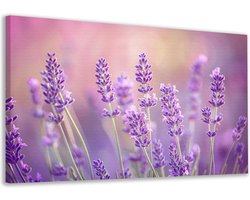 Lavendel wanddecoratie - Plant schilderij - Canvas schilderij Bij - Woonkamer decoratie industrieel - Canvas keuken - Schilderijen & posters canvas 90x60 cm